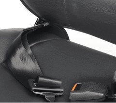 Seat Belt