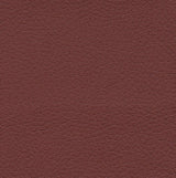 Beet Root fabric swatch