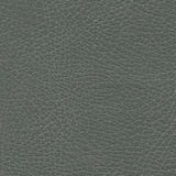 Distressed Iron fabric swatch