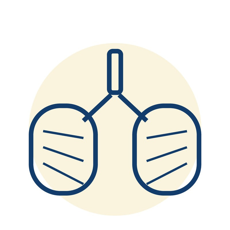 Respiratory care help — neutral lungs icon (no product depicted)