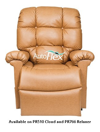 Golden Lift Recliners for Low Back Pain Relief